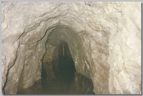 QD0021021.JPG ()