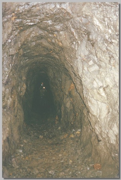 QD0021022.JPG ()