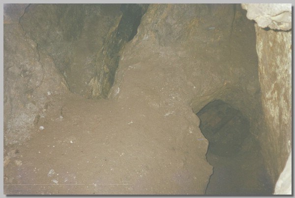 QD0021028.JPG ()
