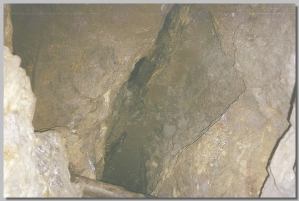 QD0021029.JPG ()