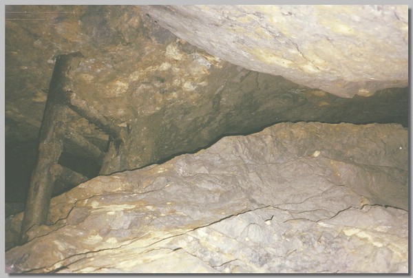 QD0021030.JPG ()