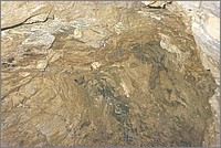 QD0011026.JPG()