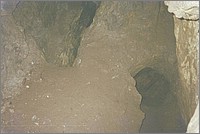 QD0021028.JPG()