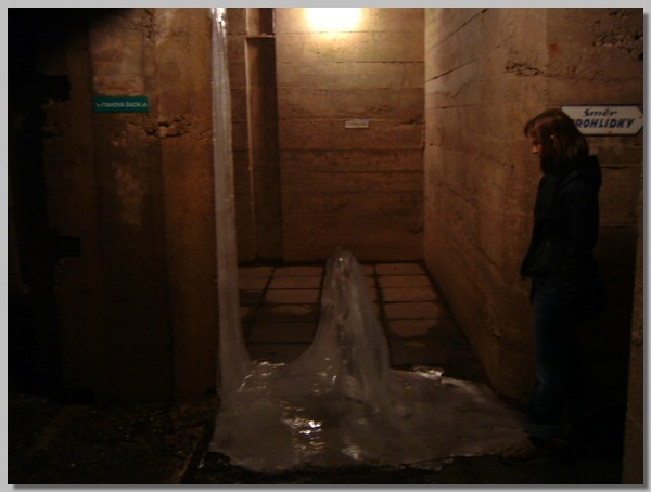 DSCF0008.JPG ()