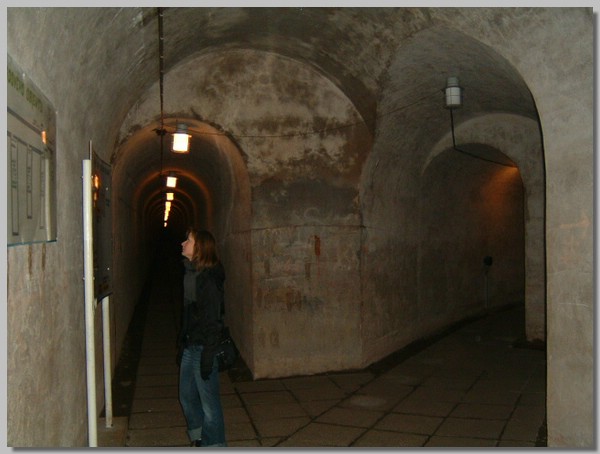 DSCF0011.JPG ()
