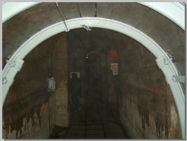 DSCF0019.JPG ()