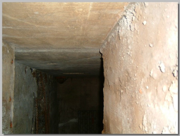 DSCF0034.JPG ()