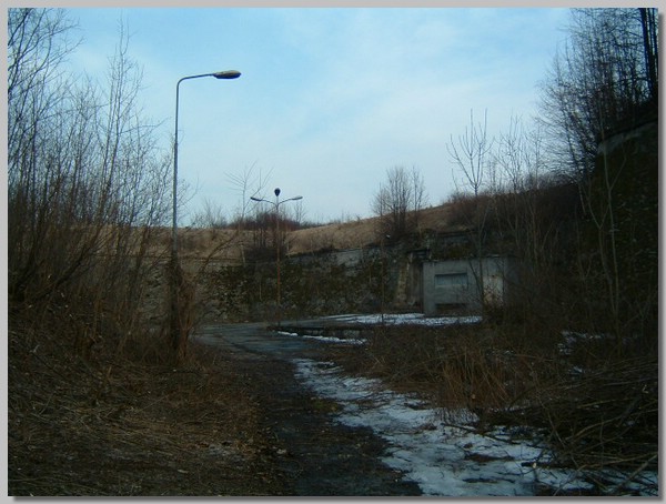 DSCF0060.JPG ()