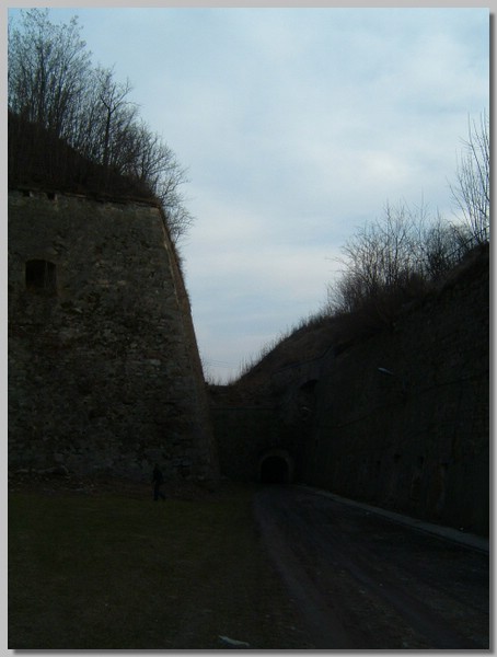 DSCF0063.JPG ()