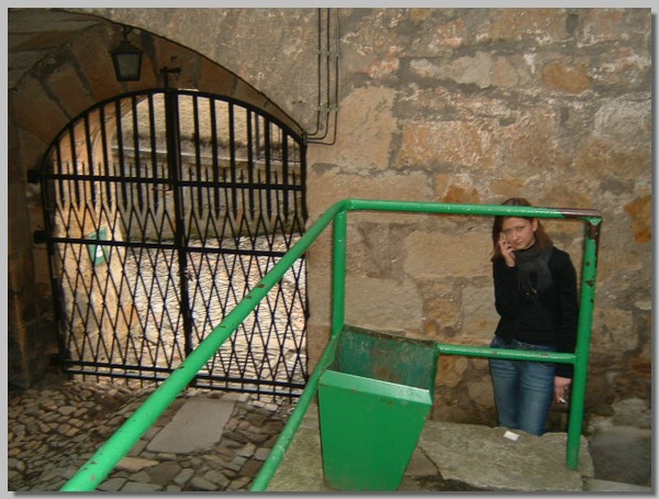 DSCF0067.JPG ()