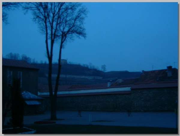 DSCF0081.JPG ()