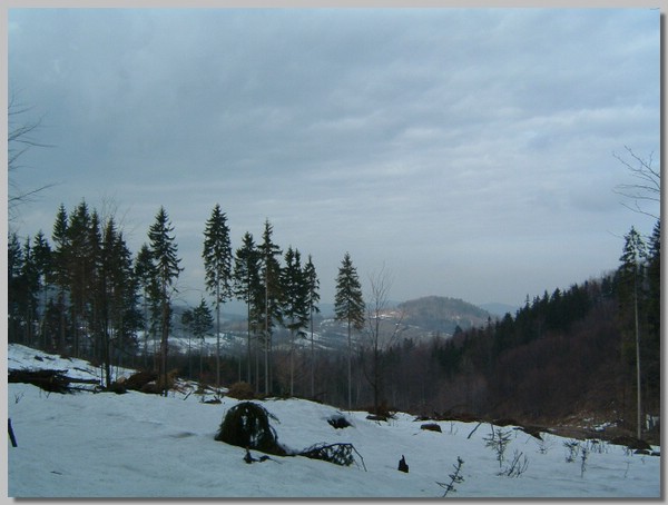 DSCF0103.JPG ()