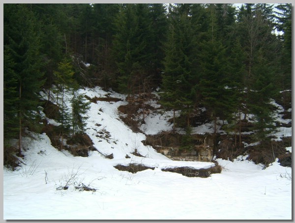 DSCF0112.JPG ()
