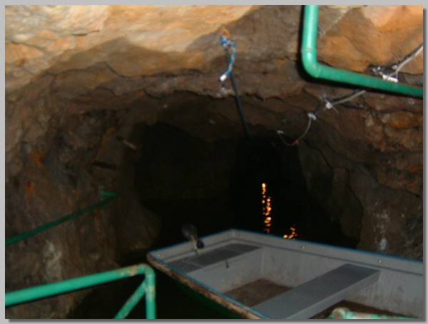 DSCF0119.JPG ()
