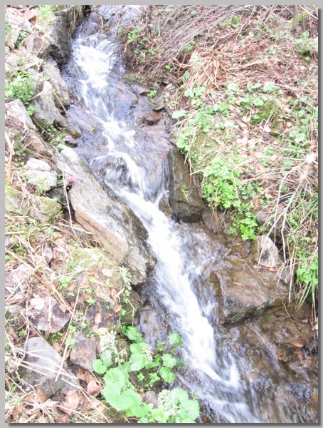 Obraz 190.jpg (133 KB)