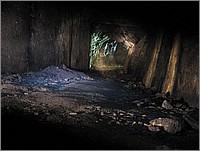 IMG_3245.JPG(68,1 KB)