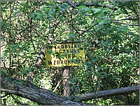 IMG_3689.JPG(136 KB)