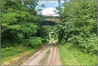 P1630586_7_8.jpg(375 KB)