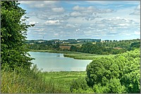 P1630610_1_2.jpg(278 KB)