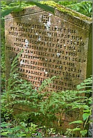 P1630616_7_8.jpg(201 KB)