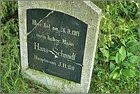 P1630643_4_5.jpg(354 KB)