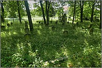 P1630649_50_51.jpg(385 KB)