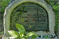 P1630664_5_6.jpg(302 KB)