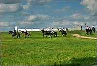 P1630685_6_7.jpg(236 KB)