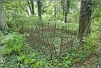 P1630727_8_9.jpg(426 KB)