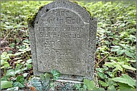 P1630736_7_8.jpg(292 KB)