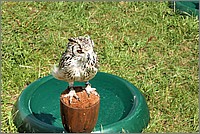 P1630754_5_6.jpg(298 KB)