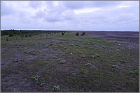 P1100069.jpg(121 KB)