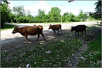 P1100110.jpg(205 KB)