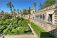 P1610025_6_7.jpg(374 KB)