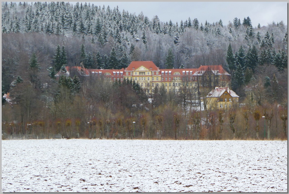 P1260887.jpg (318 KB)
