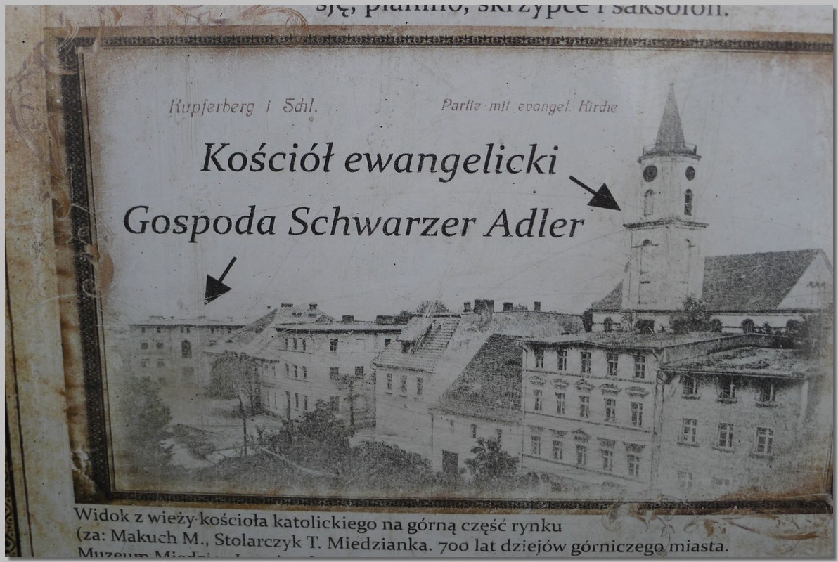 P1270229.jpg (237 KB)