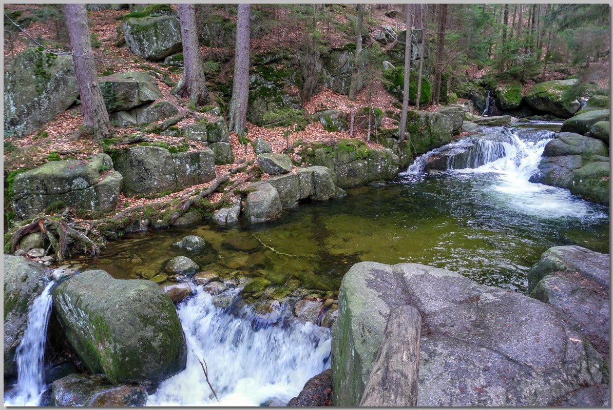 P1270460_1_2.jpg (405 KB)