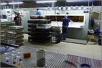P1260798.jpg(278 KB)