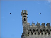 IMG_6647.JPG(59,5 KB)