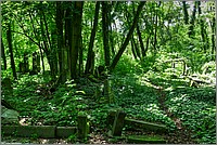 P1230002_3_4.jpg(498 KB)
