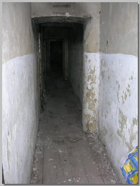 DSCN1399.JPG (64.4 KB)