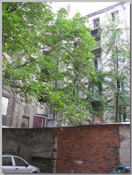 DSCN0695.JPG (124 KB)