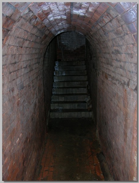 DSCN1263.JPG (70.2 KB)