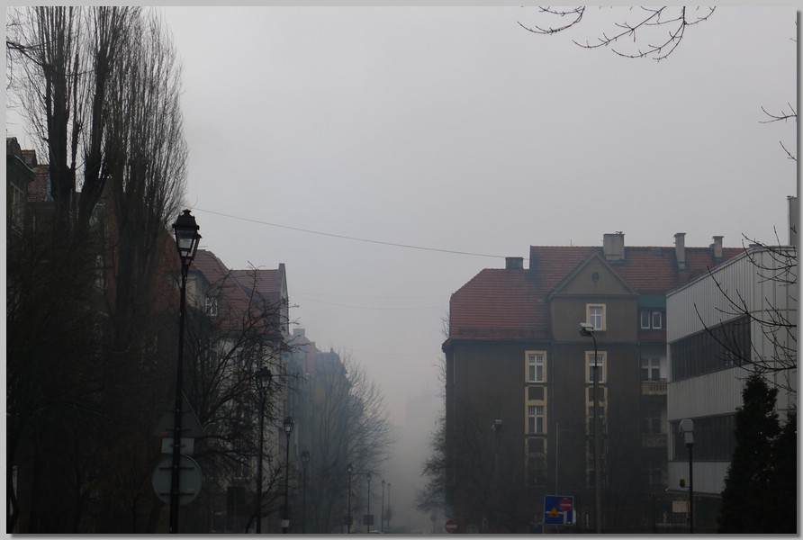 P1130454.JPG (84,2 KB)