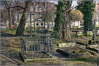 P1130531_2_3.jpg(252 KB)
