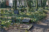 P1130583_4_5.jpg(282 KB)