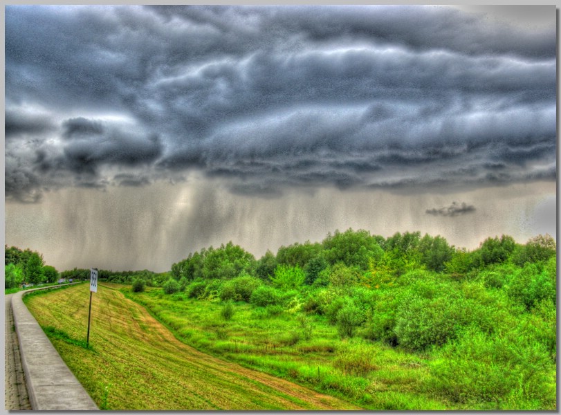 IMG_7491_2_3_tonemapped.jpg (142 KB)
