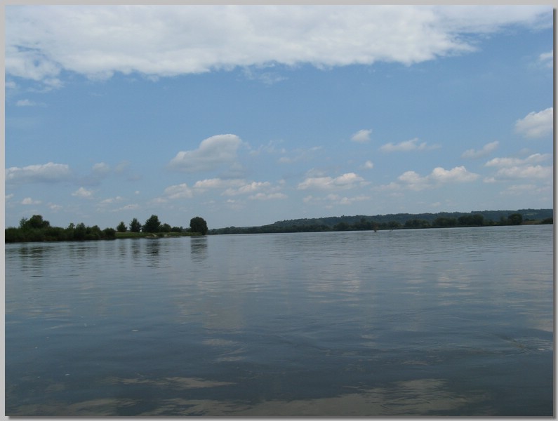 IMG_7706.JPG (62,9 KB)