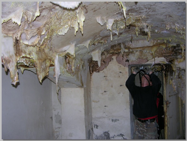 DSCN1371.JPG (126 KB)