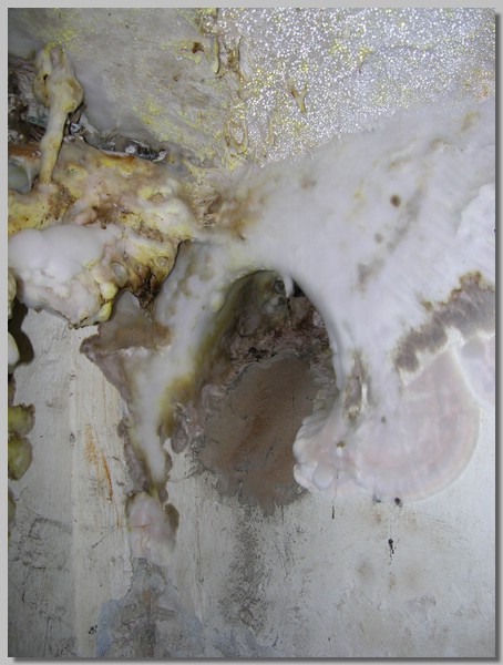 DSCN1373.JPG (71.9 KB)